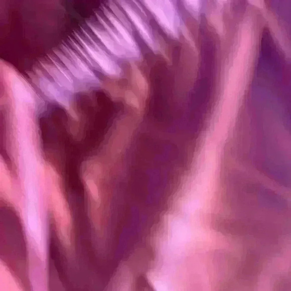 NWT Alive Magnetics Athletic Shorts - Picture 4 of 5